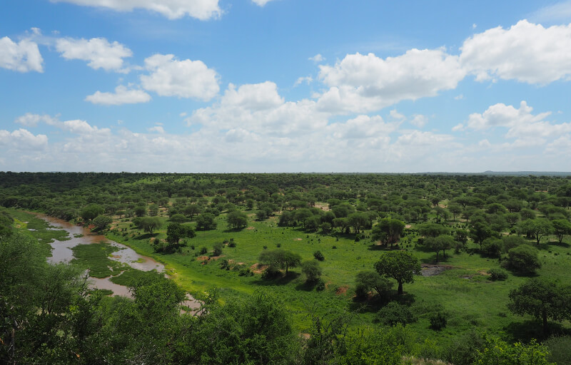 Tarangire National park